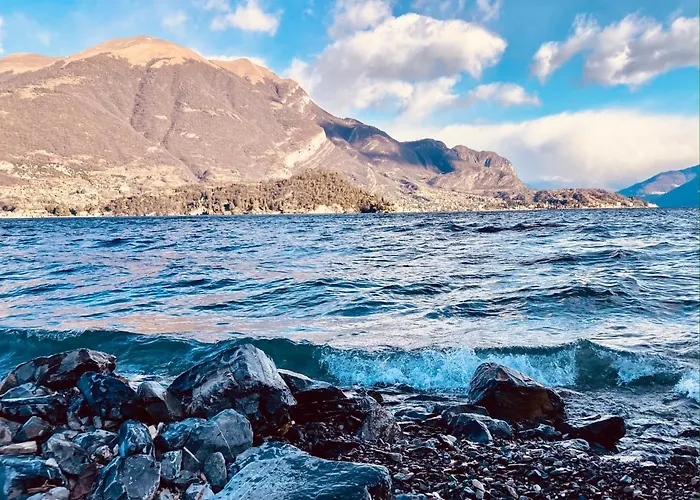 La Corte Del Governo 565