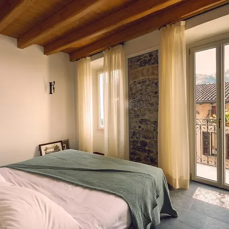 La Corte Del Governo 565 レッツェノ