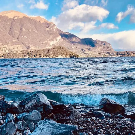 La Corte Del Governo 565